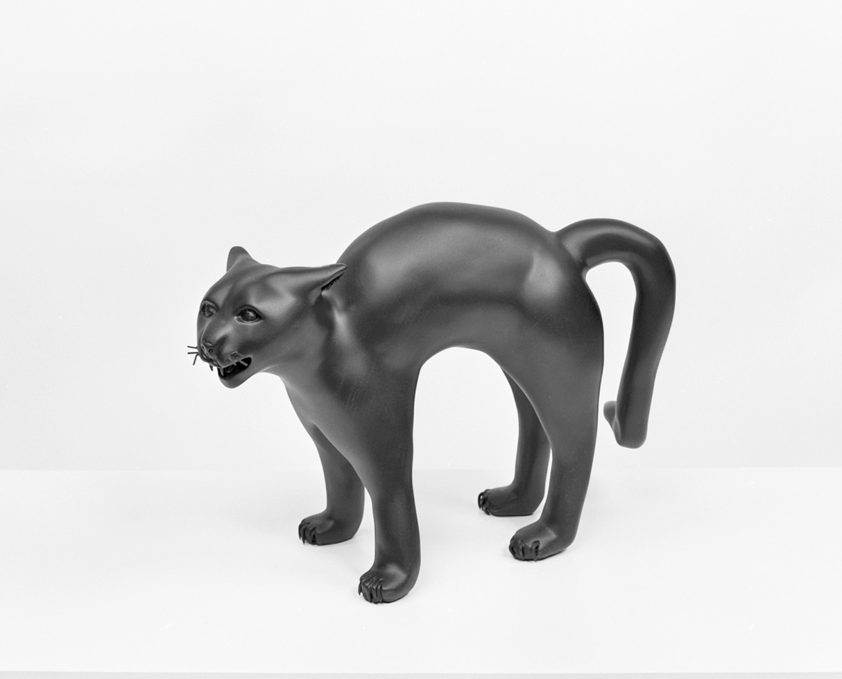 Electric Cat