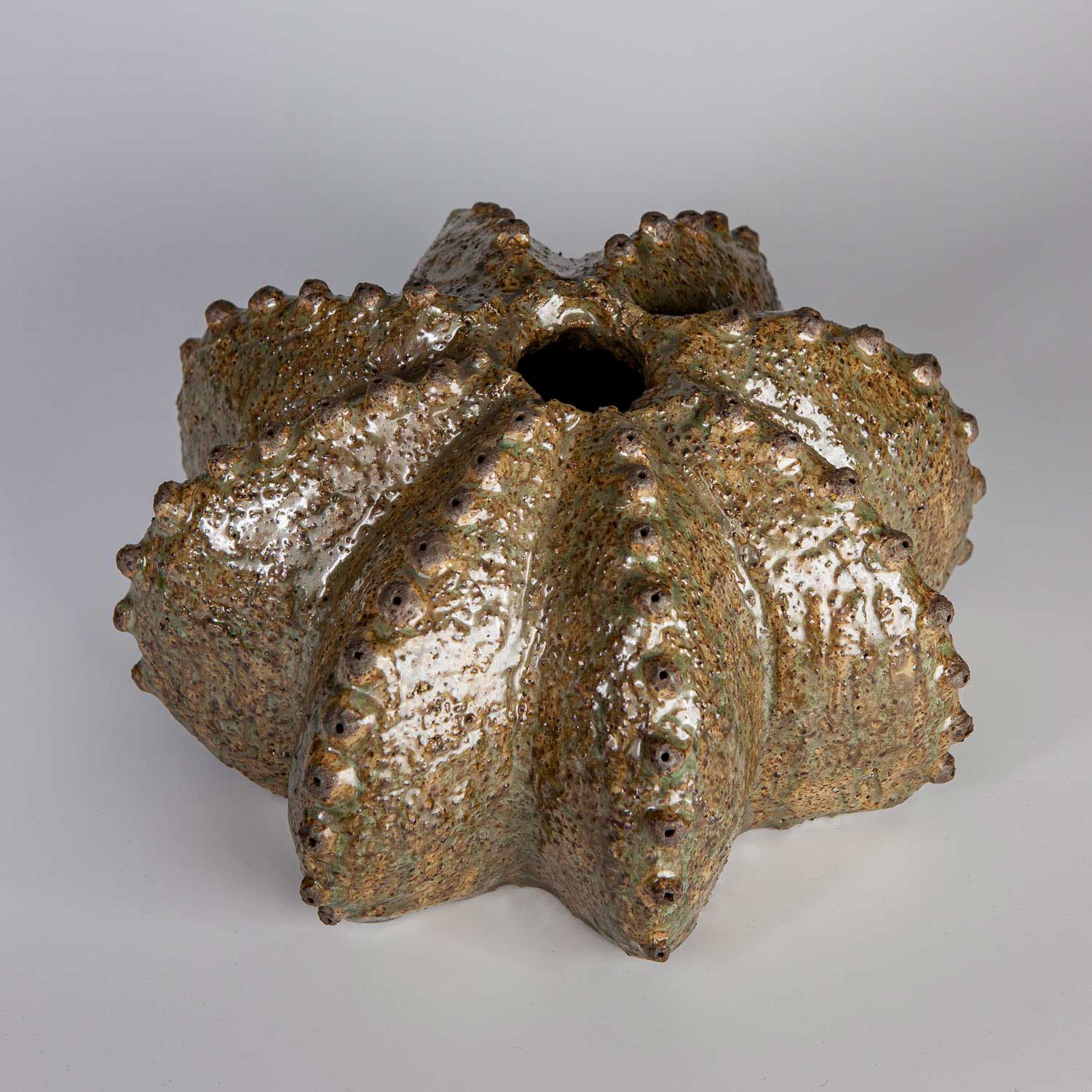 Kugelkaktee