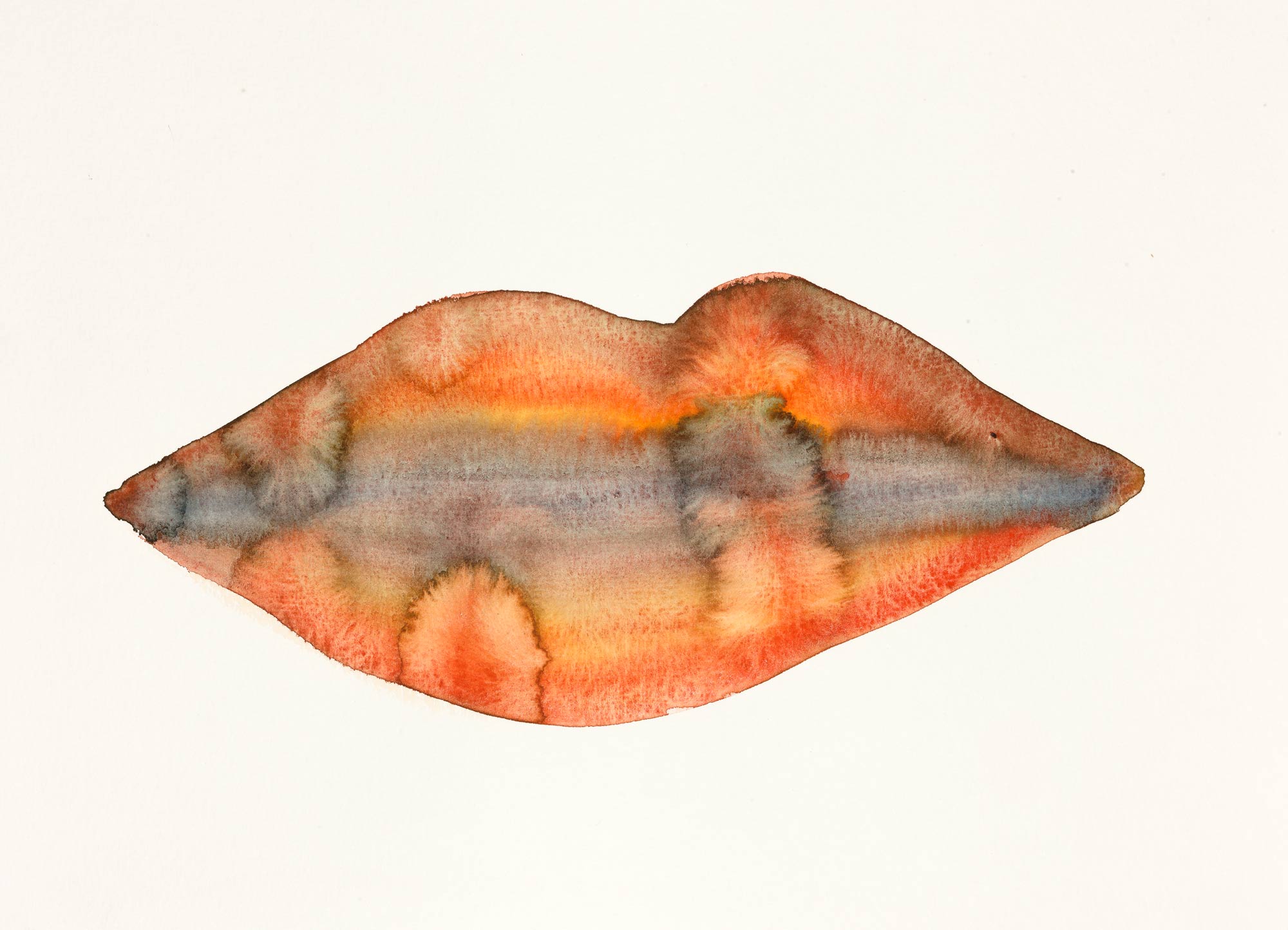 Flaming Lips VIII