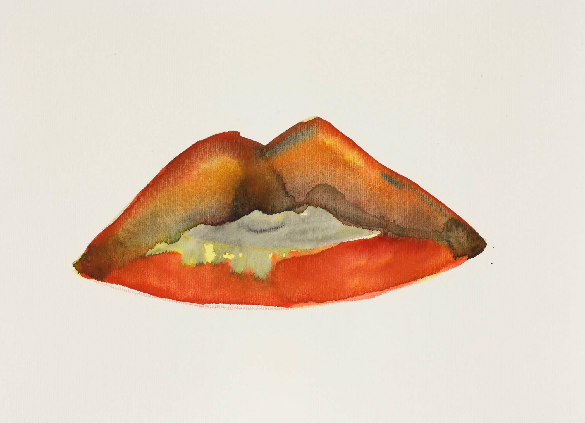 Flaming Lips VI
