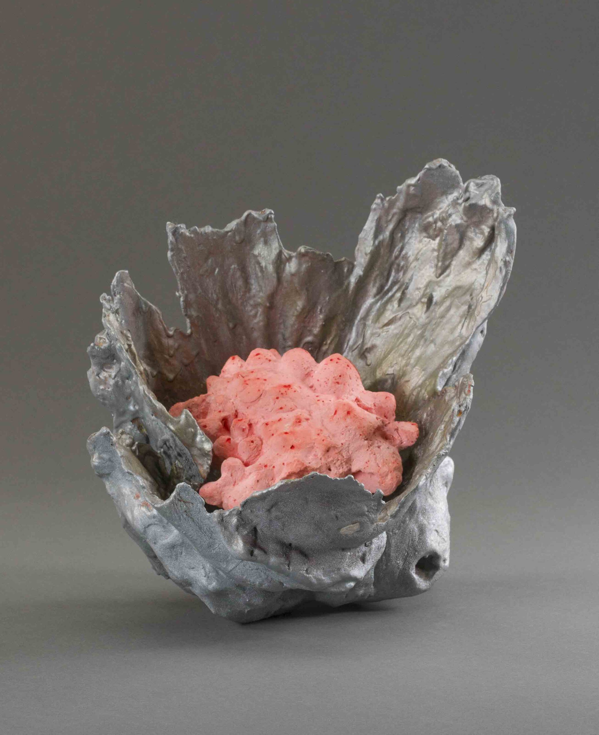 Protista